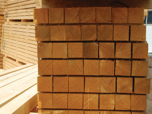 Staffel ungehobelt einstielig 4000x100x100mm