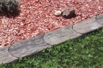 HÄUSLER "Versteinertes Holz"